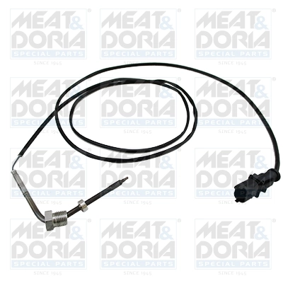 Sensor, exhaust gas temperature